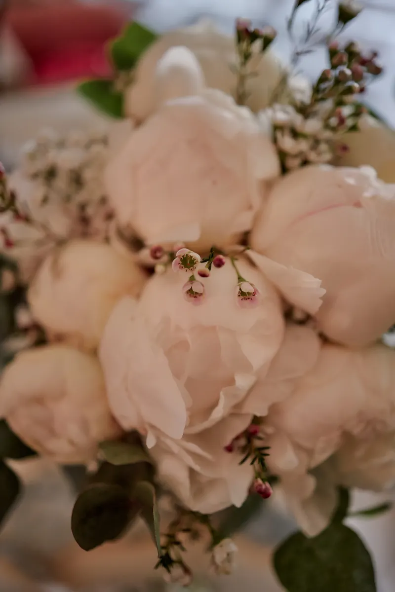 Dettaglio di peonie rosa cipria in un bouquet da sposa